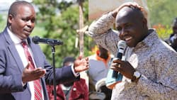 It's Tolgos vs Murkomen: Epic Showdown Looms In Elgeyo Marakwet as County Boss Joins Senatorial Race