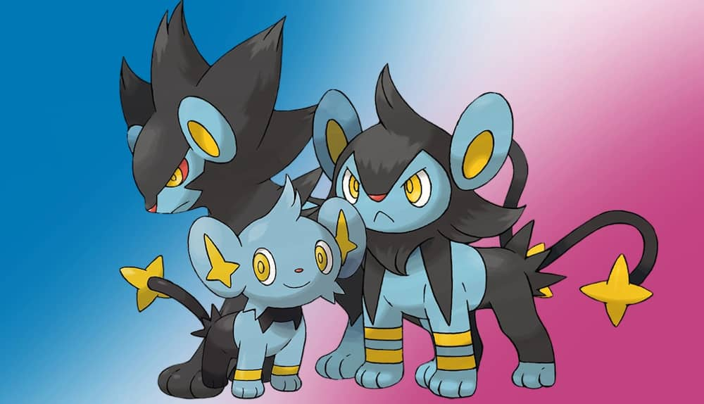 pokemon fofos - Pesquisa Google  Pokemon shinx, Pokemon art, Cute pokemon  pictures