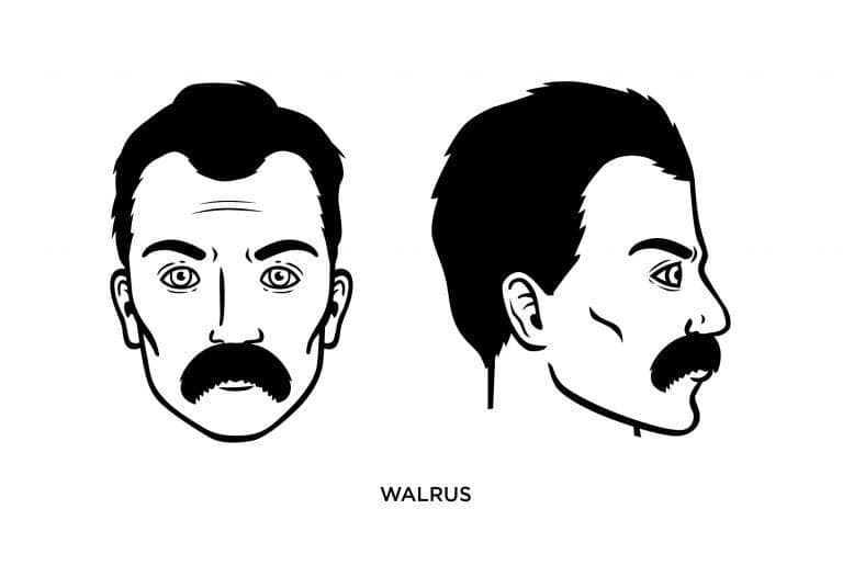 15 best moustache styles for men (with images)