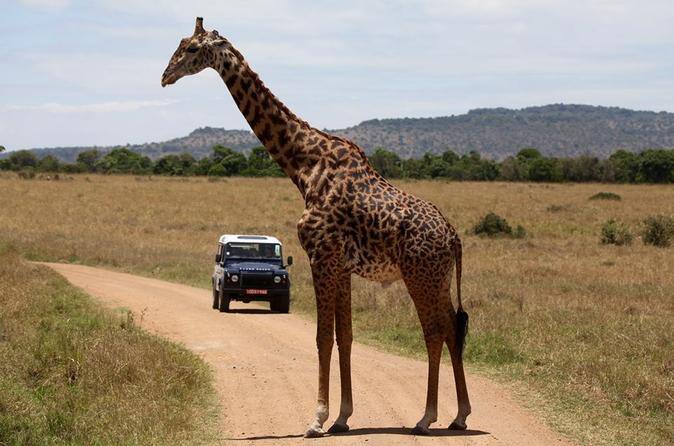 places to visit in kenya on a budget
destinations in kenya coast
family holiday destinations in kenya
weekend getaways in nanyuki