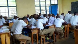 Free primary education in Kenya: challenges and solutions - Tuko.co.ke