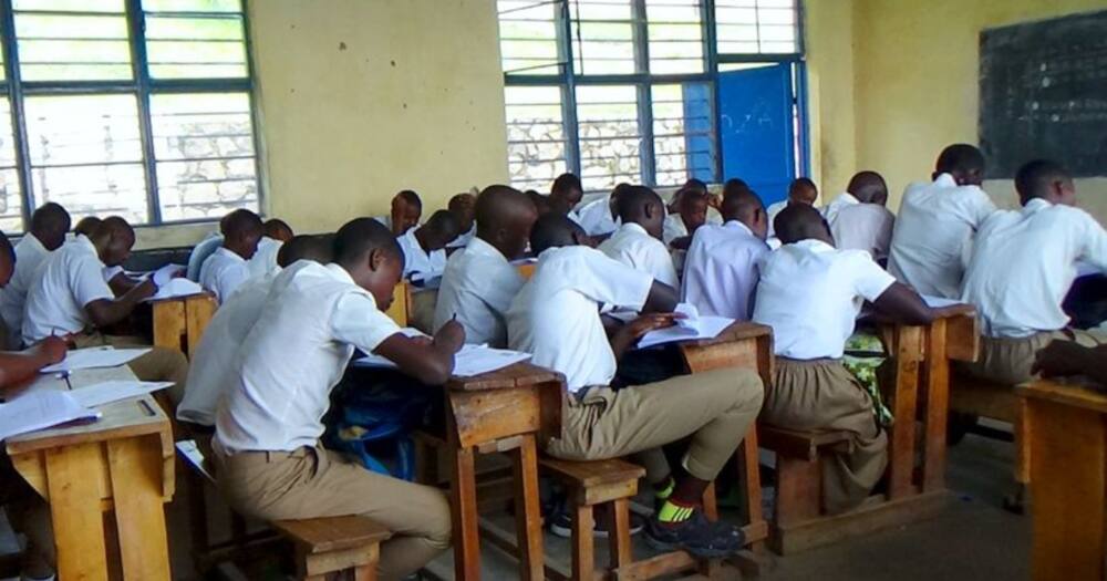 Students in a classroom. Photo: Literacy.