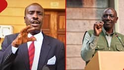 Lawyer Omari Questions Ruto’s Silence on Corruption He Said Existed During Uhuru's Regime