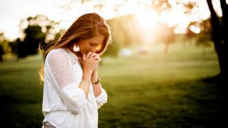 the best christian closing prayer the best christian closing prayer