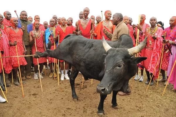 Wageni wapya wafika Nairobi na kukasirisha wakazi!