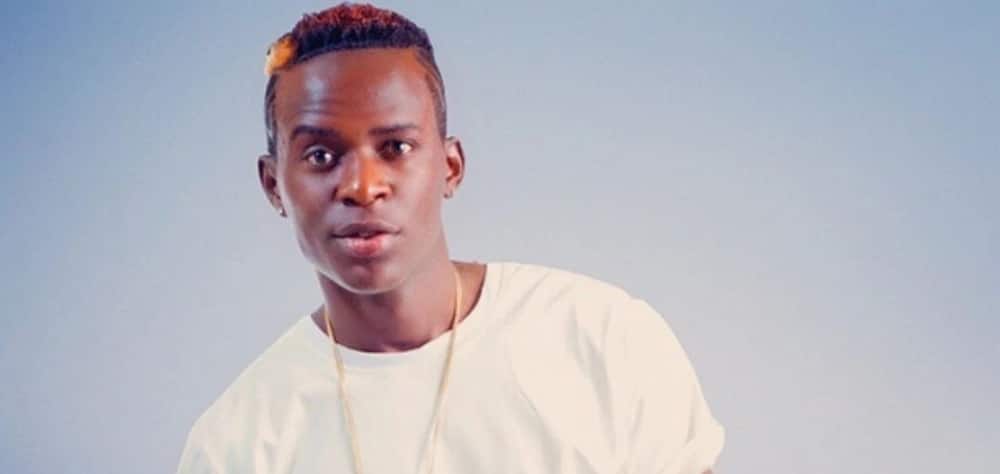 Image result for willy paul's humble beginning