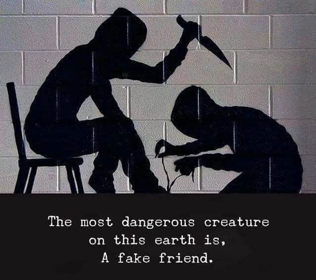 Funny quotes about fake friends 