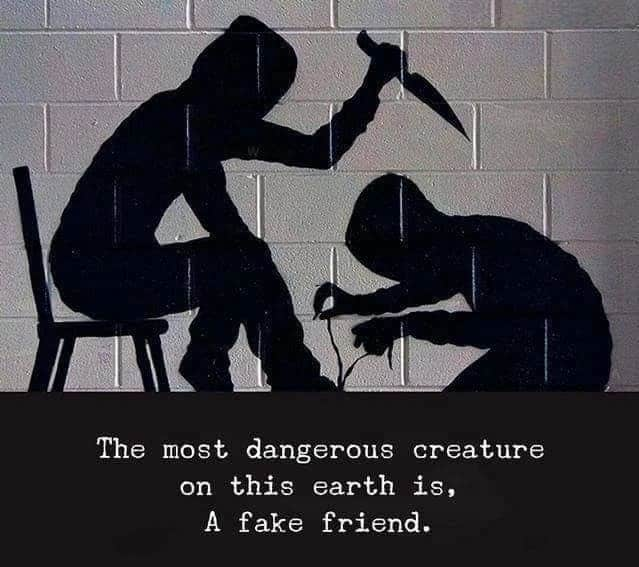 funny-quotes-about-fake-friends-tuko-co-ke