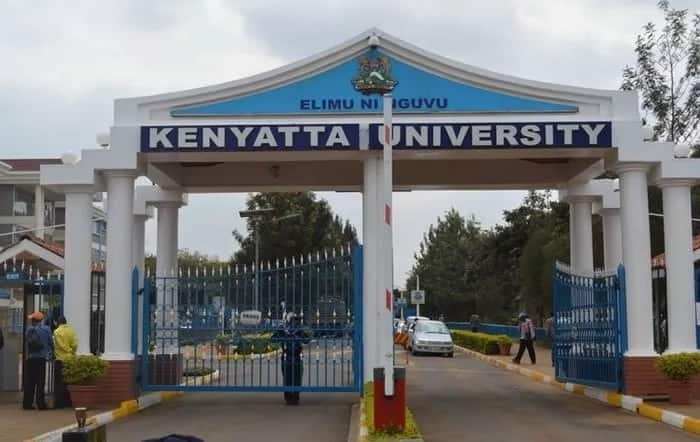 Kenyatta University courses, application, fees and contacts - Tuko.co.ke