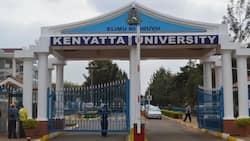 List of 2018-2019 courses offered at Kenyatta University in Kenya