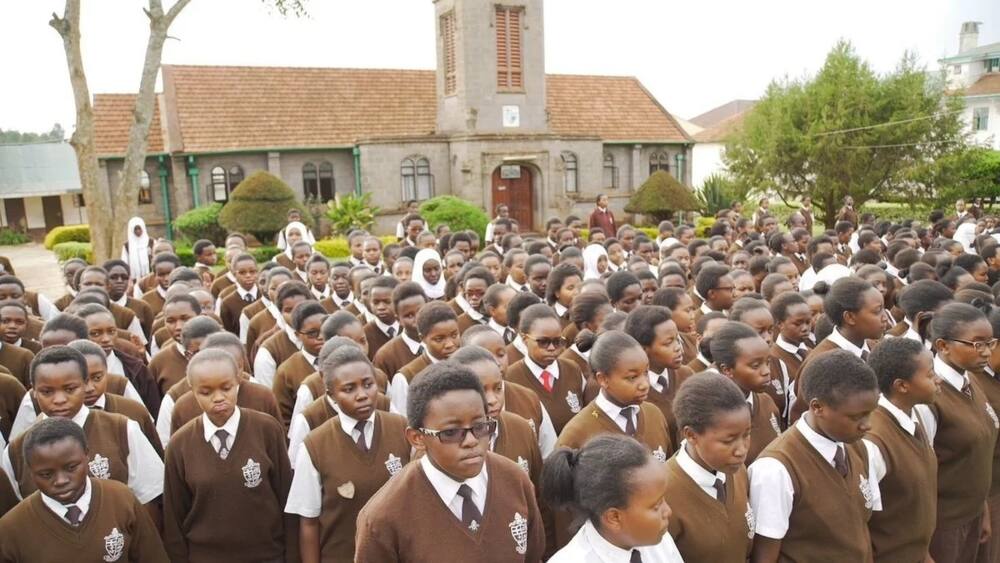 top-national-secondary-schools-in-kenya-2019-tuko-co-ke