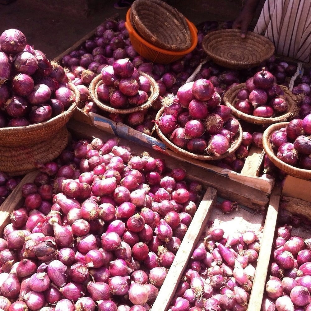 Commercial onion farming in Kenya