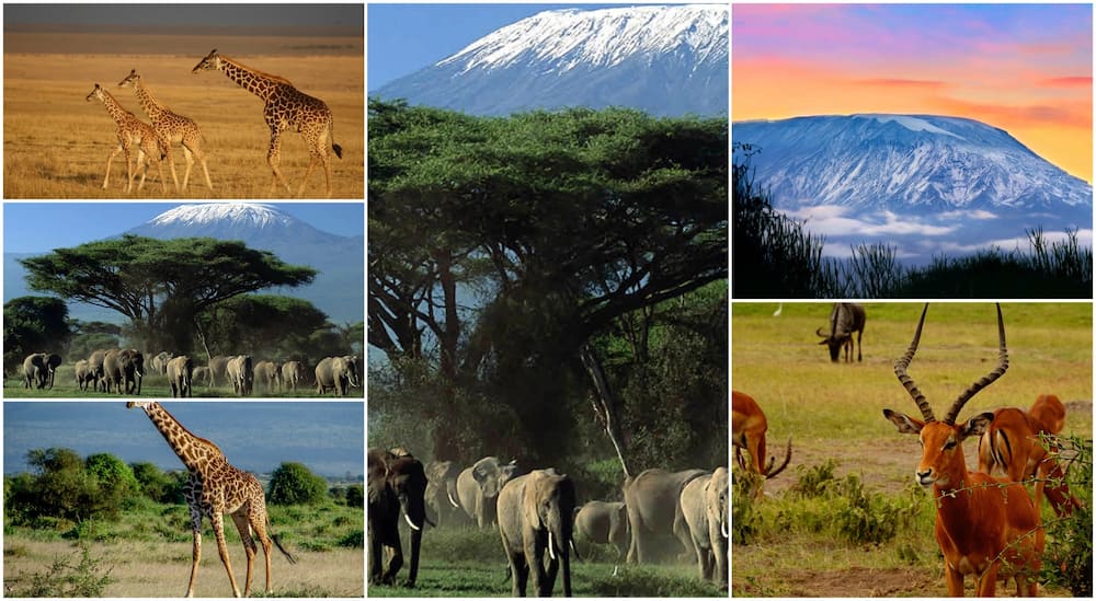 Main tourist attractions in Kenya