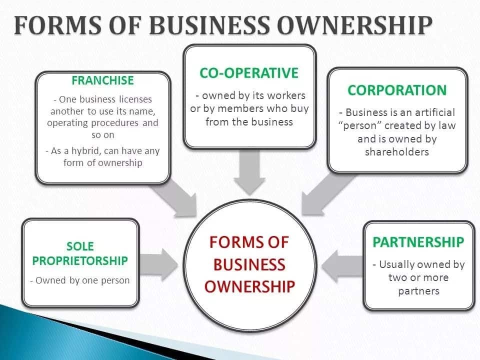 forms-of-business-ownership-and-organization-tuko-co-ke