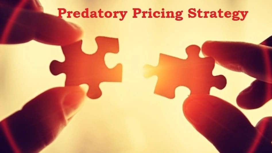 types of pricing,types of pricing strategies,pricing strategy