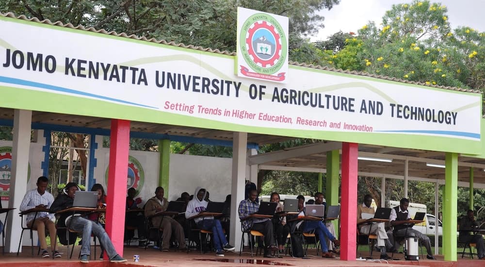 JKUAT downplays claims of dwindling academic standards after awarding of 118 PhDs