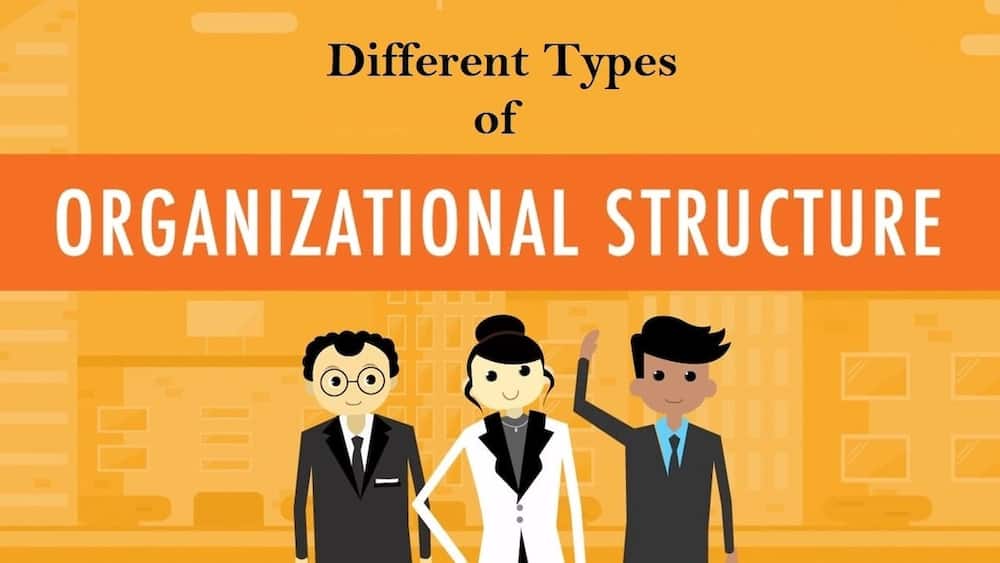types of organizational structures, types of organizational structure, organizational structure types