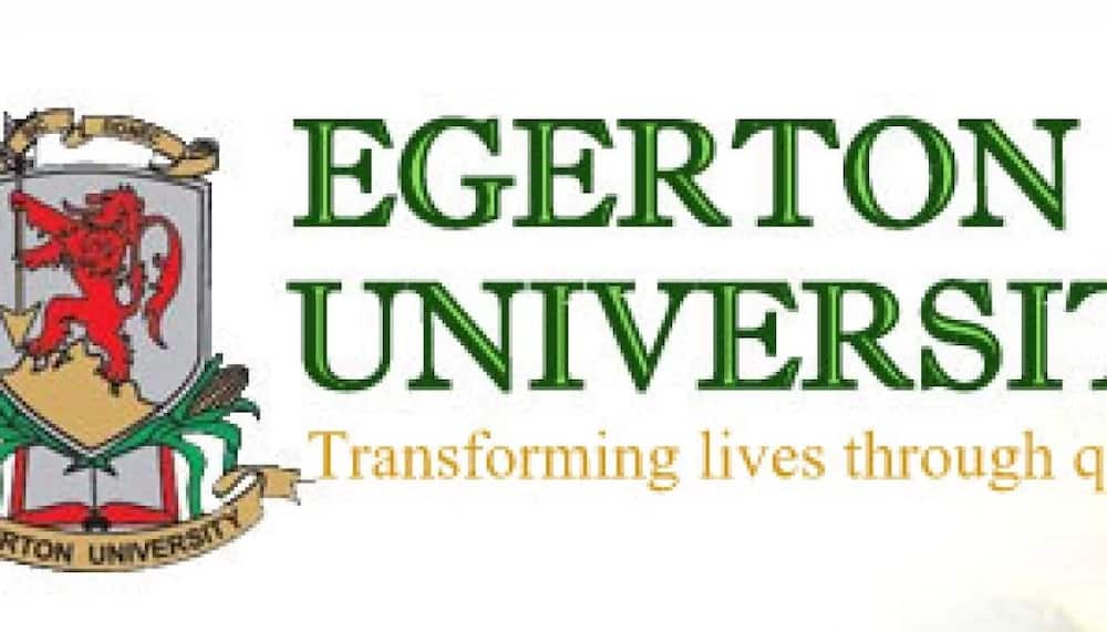 Egerton University Diploma Courses