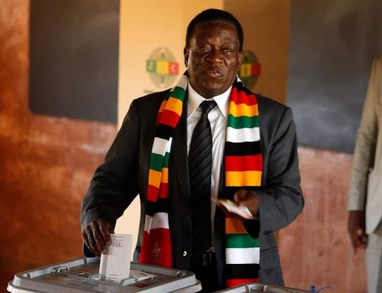 Zimbabwe's opposition moves to court to challenge election results