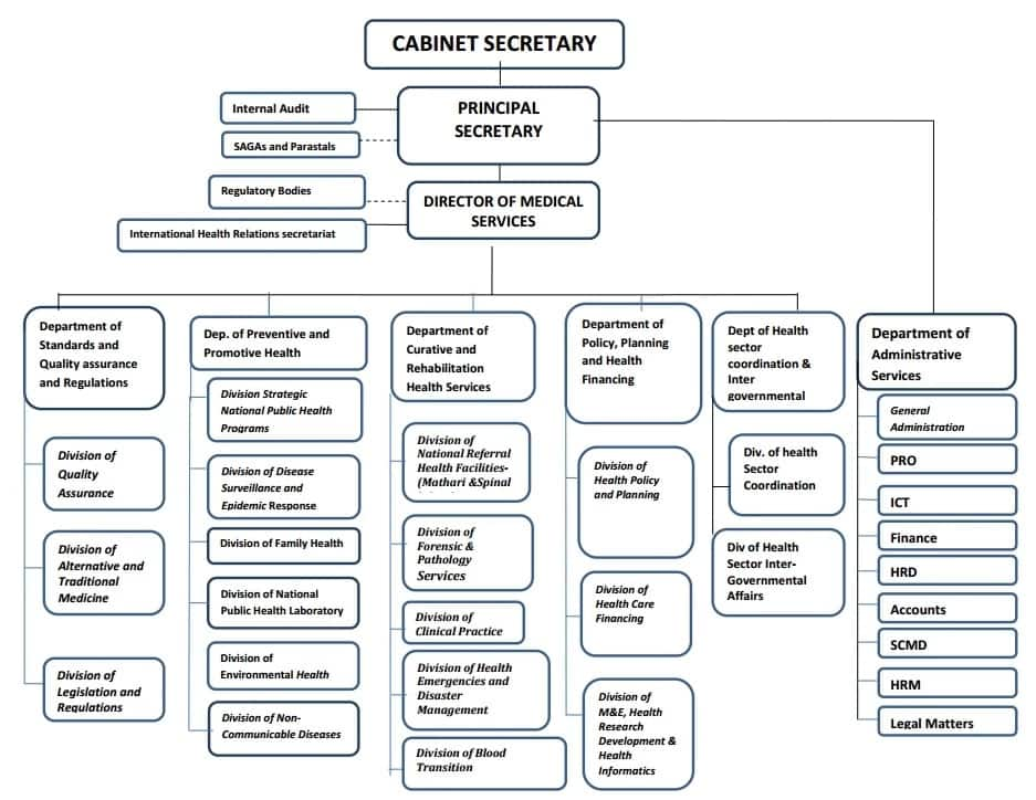 Ministry Of Health Kenya Organizational Structure - Tuko.co.ke