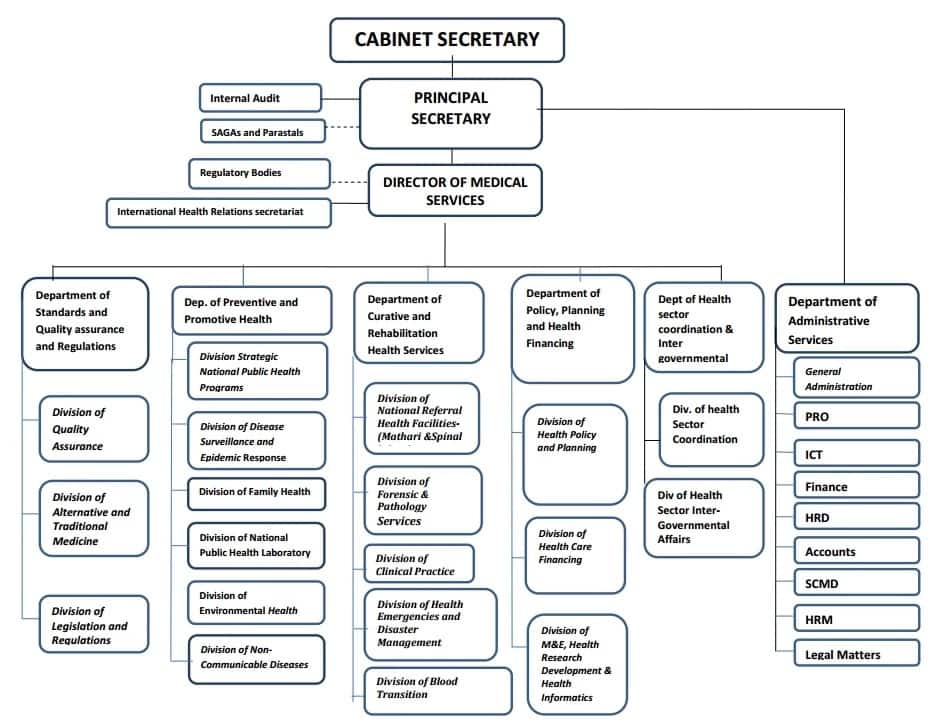 Ministry of Health Kenya Organizational Structure
