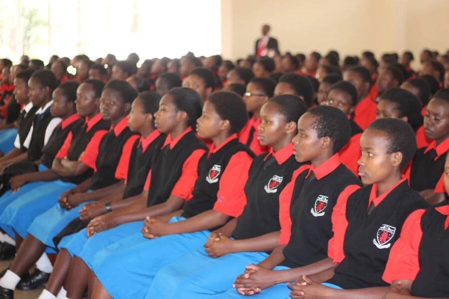 top-national-secondary-schools-in-kenya-2019-tuko-co-ke