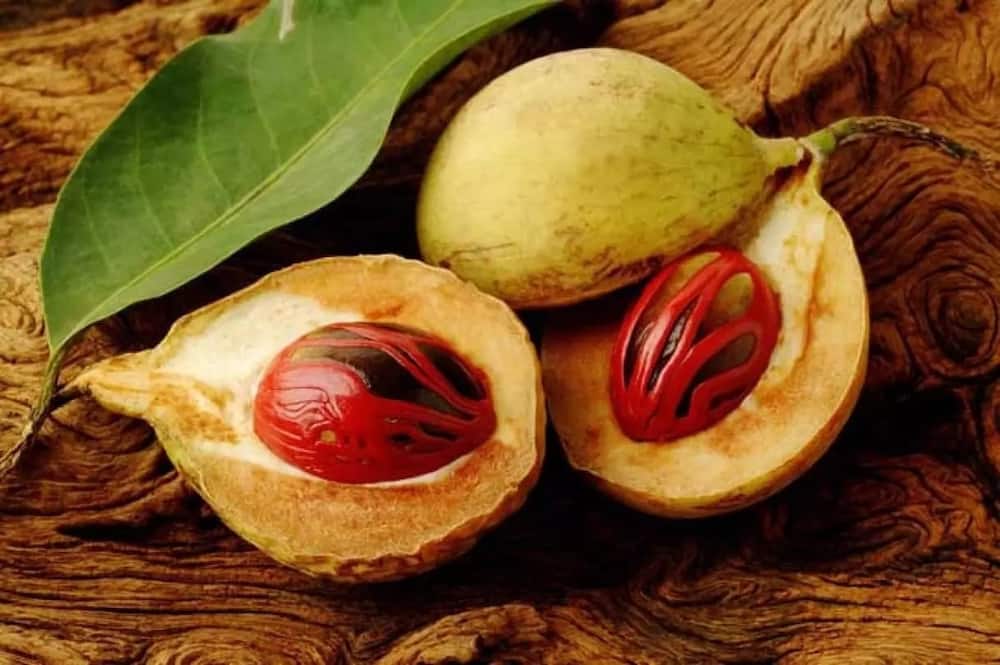 Benefits of nutmeg for men
Eating nutmeg benefits
Nutmeg oil benefits