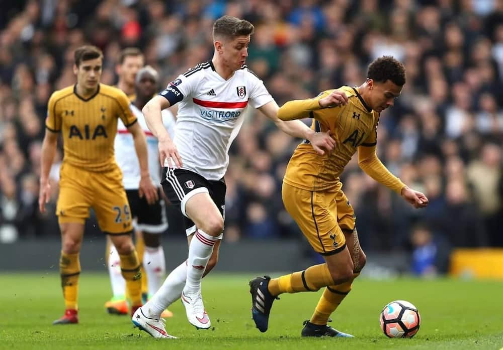 Tottenham Hotspur vs Fulham Premier League 2018-19 ...