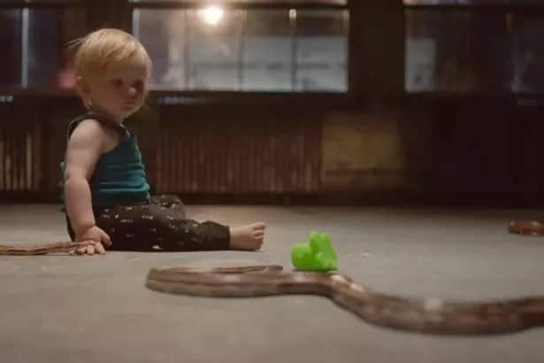 A toddler watches a toy snake. Research shows babies are not born with a natural fear of snakes. Photo: Daily Mirror