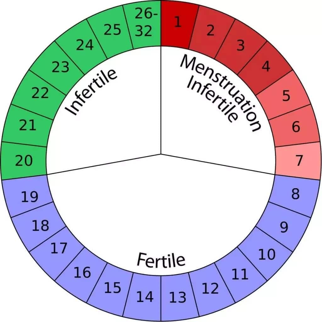 Safe Period Calculator to Avoid Pregnancy Tuko.co.ke