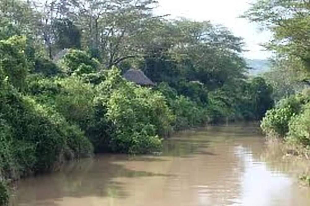 Chifu afariki baada ya kujibugia pombe Nyandarua