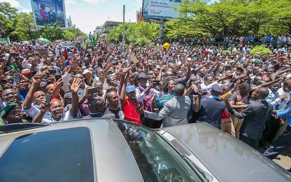 Uhuru karibu atoroke baada ya nyoka kupatikana kwa KITI