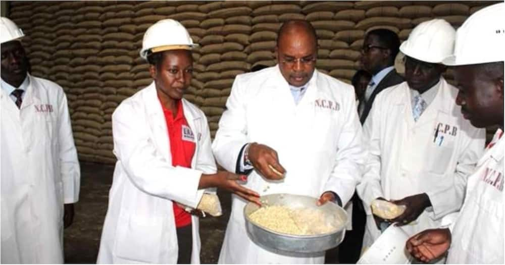 Cereals board officials conspired with traders to sell fake fertilizer to farmers