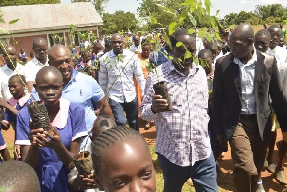 Ukulima wa miparachichi utakuza mamilionea wa siku zijazo – Raila Odinga