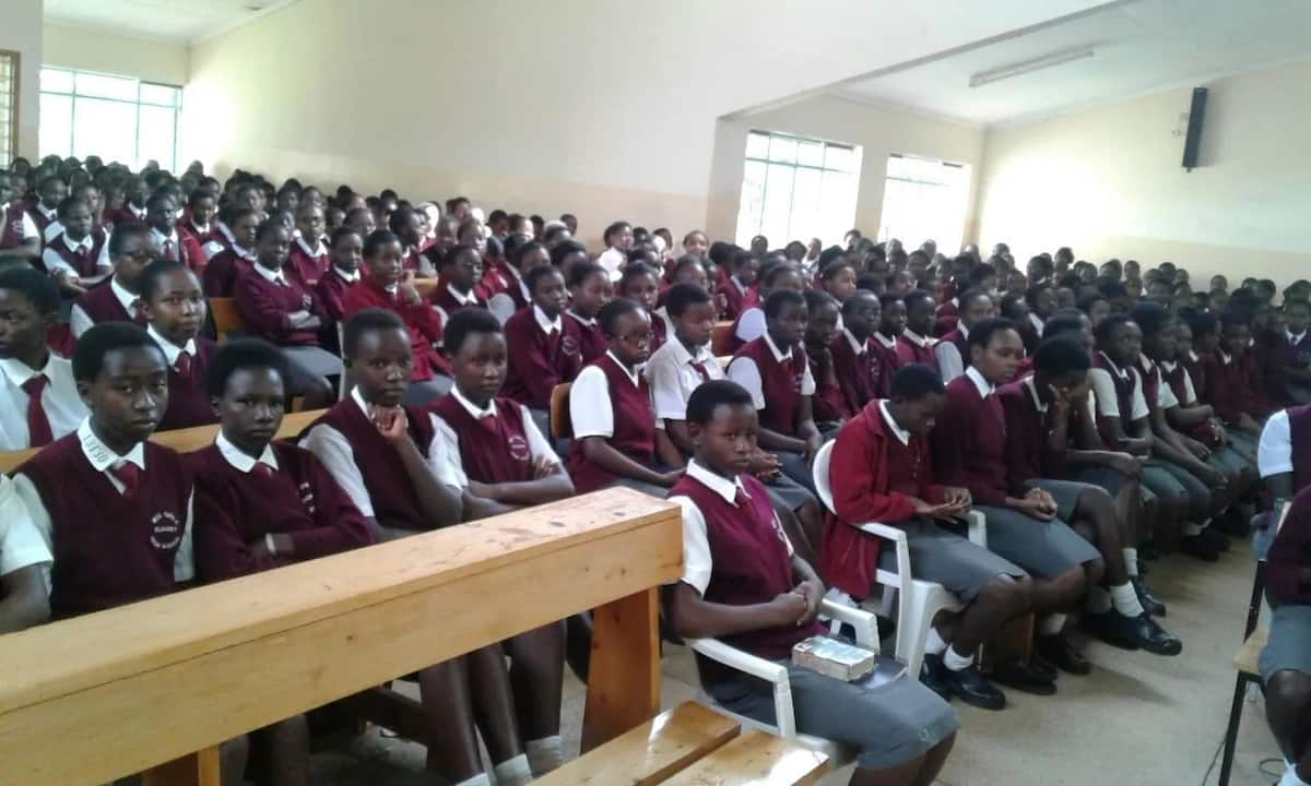 top-national-secondary-schools-in-kenya-2018-tuko-co-ke