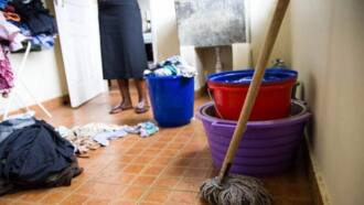 My Boss's Wife Mistreated Me, I Revenged by Having an Affair With Her Husband, Househelp Shares