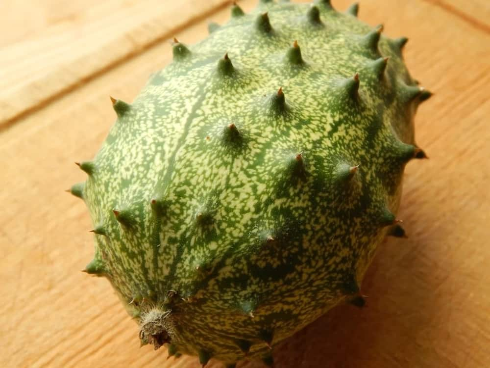 health-benefits-of-thorn-melon-tuko-co-ke