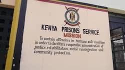 Court Freezes Assets of 2 Kenyan Men Paid KSh 16.7M for Supplying Nothing to Prisons Department