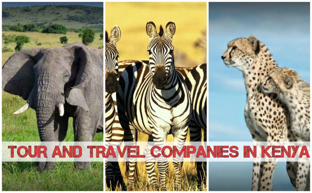 list of travel agencies and tour operators in kenya