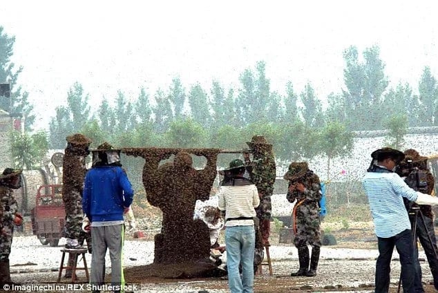 Man Sets World Record By Covering Himself In 100kg Of Bees