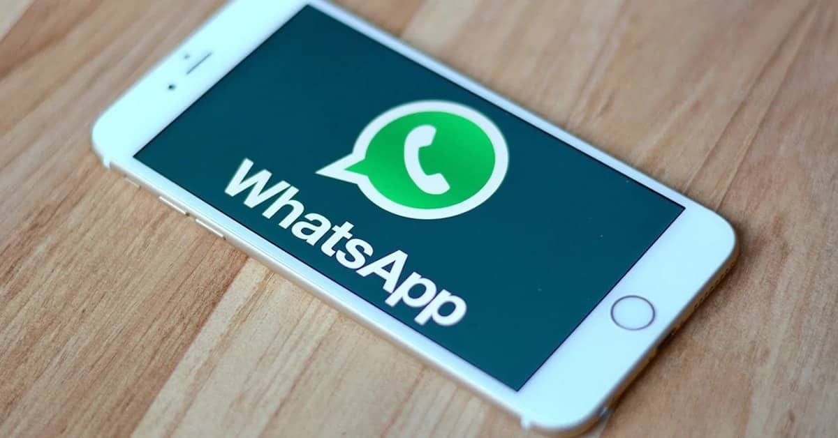 WhatsApp to give users option to accept, decline group invites ▷ Tuko.co.ke