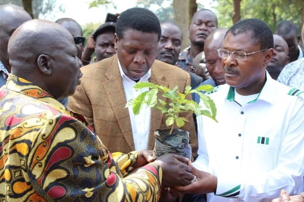 Moses Wetang'ula wants BBI report published in Kiswahili and mother tongue