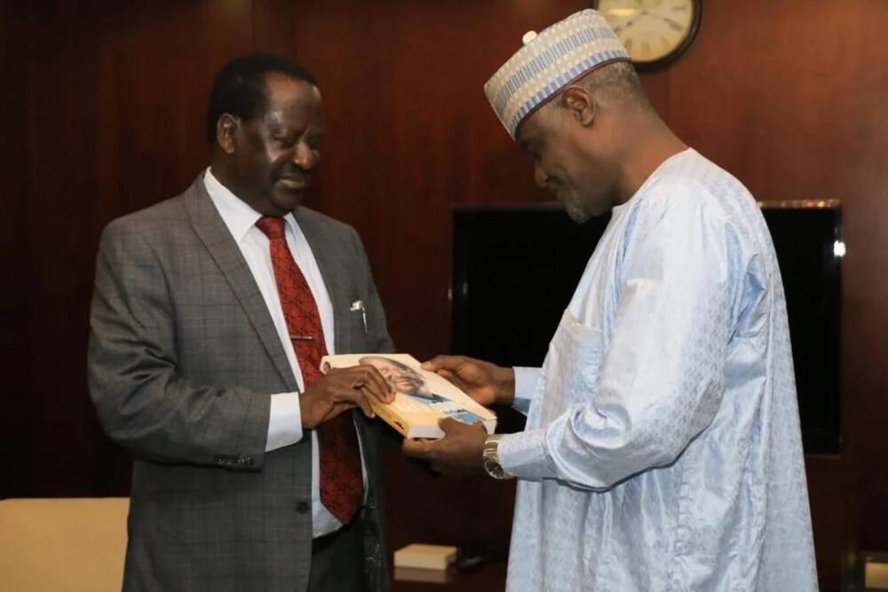 Raila Odinga lands plum Africa Union job on Mashujaa Day