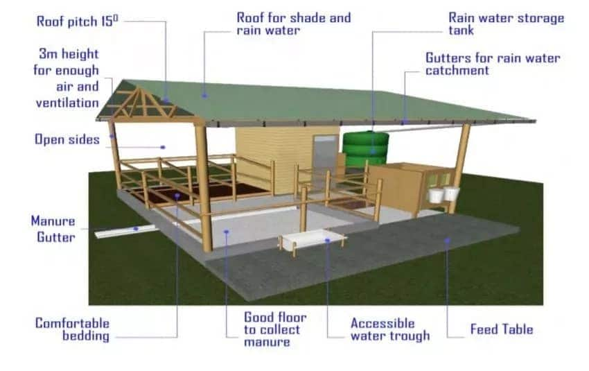 Dairy farm design and structure Tuko.co.ke