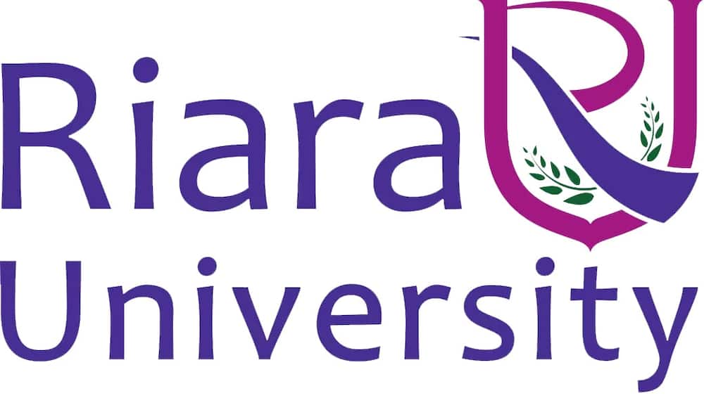 Riara University Courses Offered
