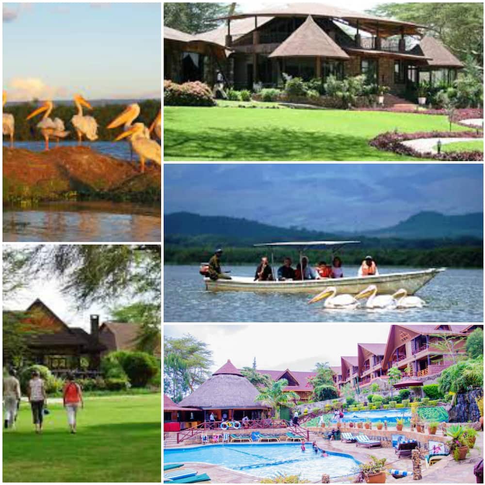 Main tourist attractions in Kenya