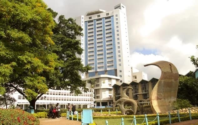 University of Nairobi Ranked 7th among the Top 10 Universities in Africa •  The Campus Times