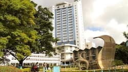 University of Nairobi ranking in Africa and the world