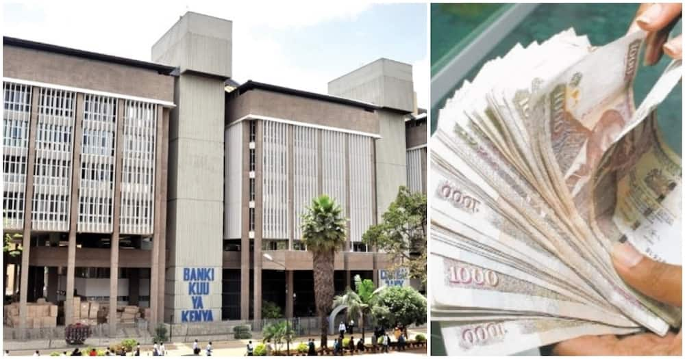 Diaspora remittances hit record KSh 64 billion in 4 months - Tuko.co.ke