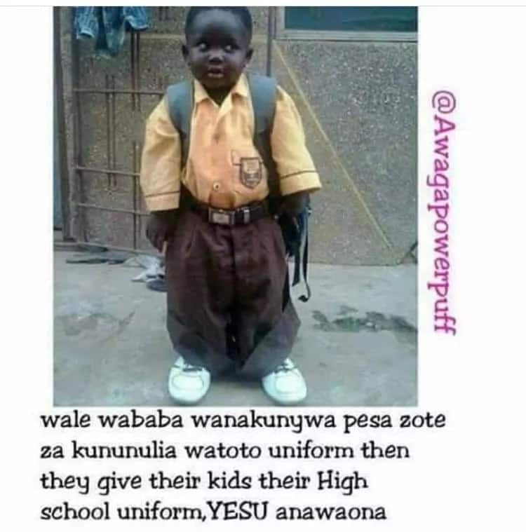 Funny memes about school Tuko.co.ke